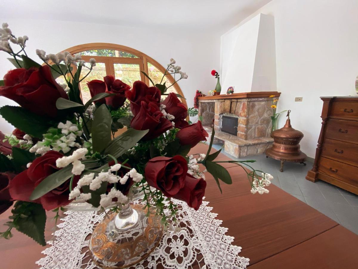 Achille Home B&B Соренто Екстериор снимка